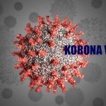korona virus
