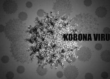 korona virus 2